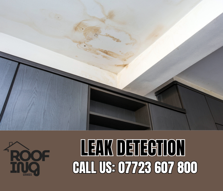 Roof Leak Detection in Budleigh Salterton