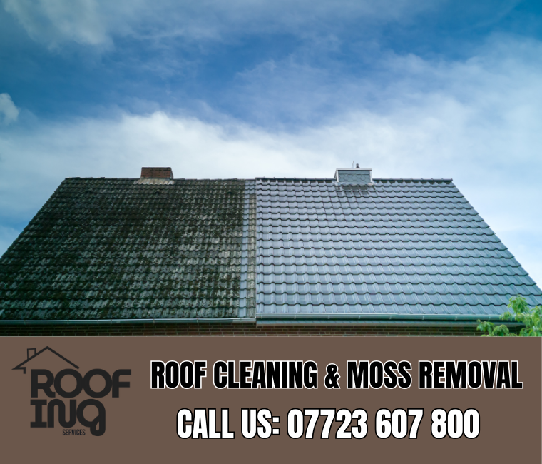 Roof Cleaning in Budleigh Salterton