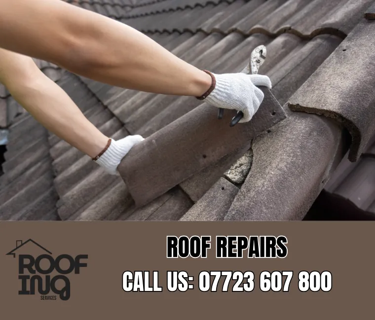 Professional roof repair services in Budleigh Salterton